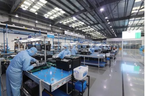 抗疫路上，我们都是一家人 从全民同心到精准纾困